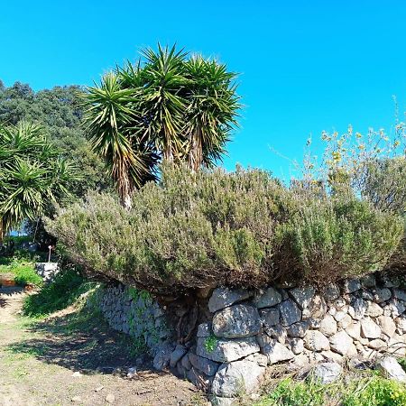 فيلا Vinha Do Gaio Montes de Cima المظهر الخارجي الصورة