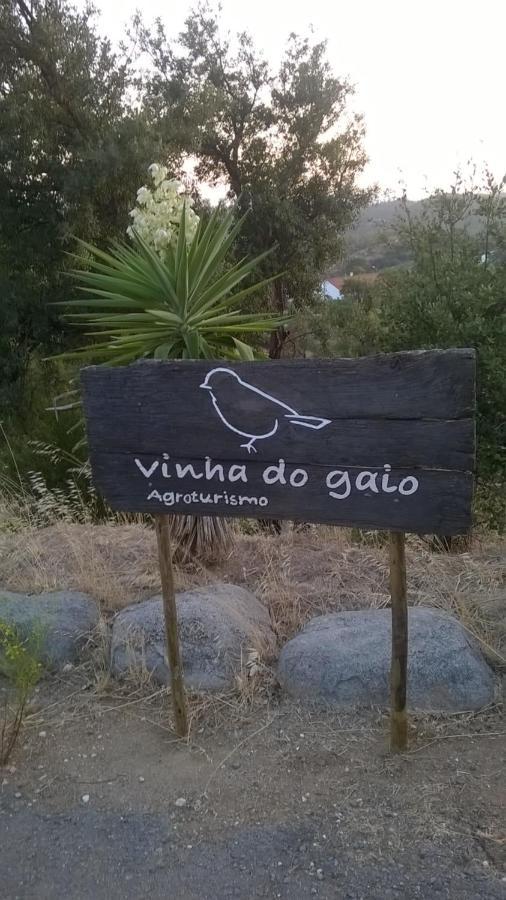 فيلا Vinha Do Gaio Montes de Cima المظهر الخارجي الصورة
