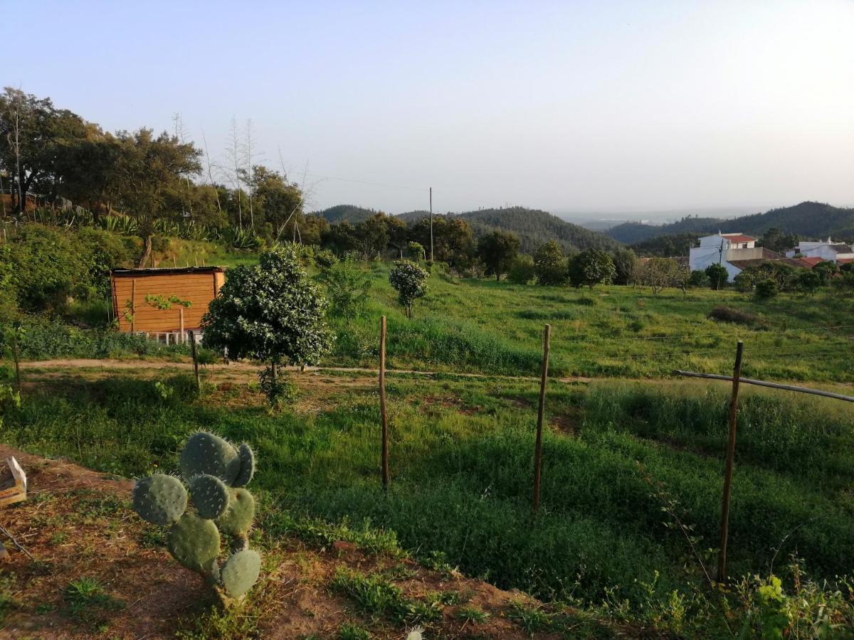 فيلا Vinha Do Gaio Montes de Cima المظهر الخارجي الصورة