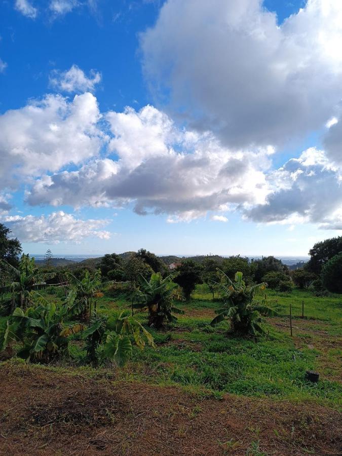 فيلا Vinha Do Gaio Montes de Cima المظهر الخارجي الصورة